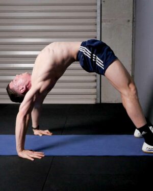Back Bridge Pro