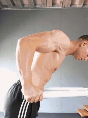 Eccentric Dips