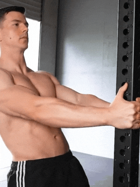 Incline Rows