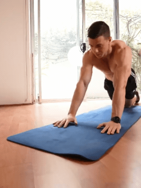 Plank Walk out