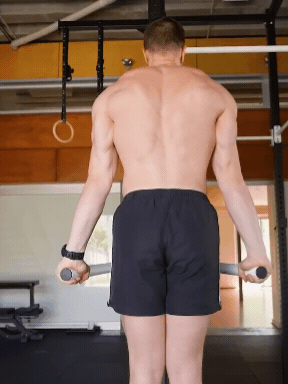 Scapula dips