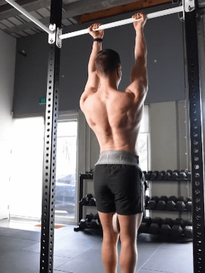 Scapula pulls